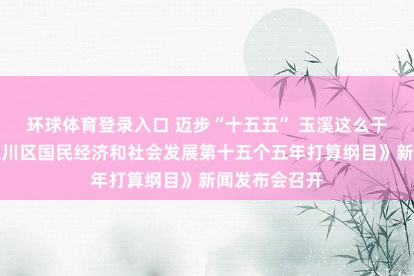 环球体育登录入口 迈步“十五五” 玉溪这么干丨《玉溪市江川区国民经济和社会发展第十五个五年打算纲目》新闻发布会召开