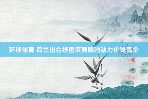 环球体育 荷兰出台纾困策画嘱咐动力价钱高企