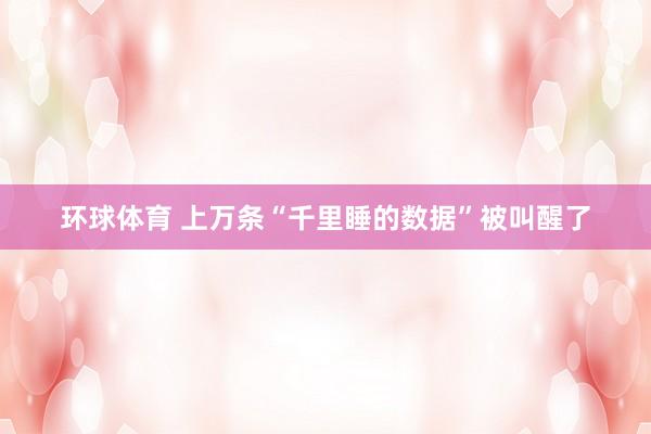 环球体育 上万条“千里睡的数据”被叫醒了