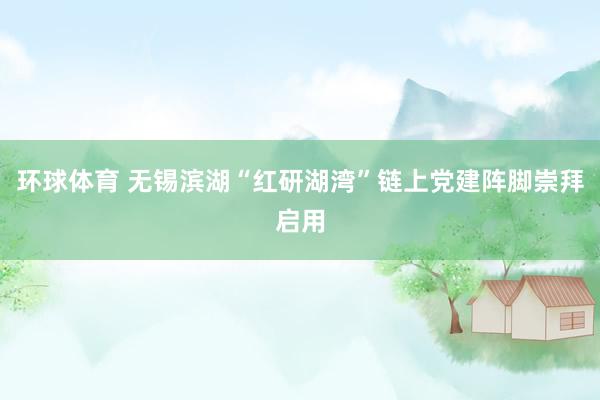 环球体育 无锡滨湖“红研湖湾”链上党建阵脚崇拜启用
