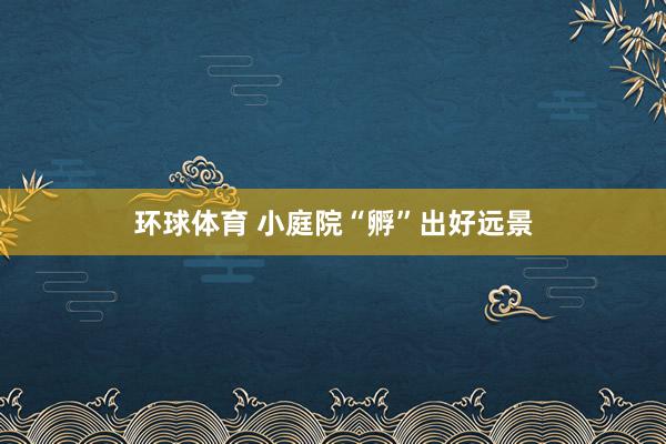 环球体育 小庭院“孵”出好远景