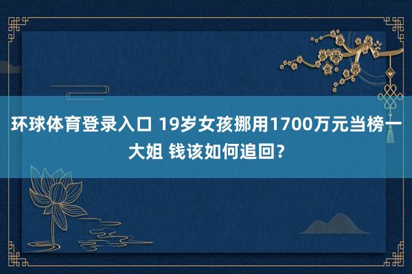 环球体育登录入口 19岁女孩挪用1700万元当榜一大姐 钱该如何追回？