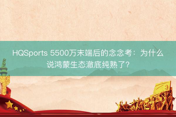 HQSports 5500万末端后的念念考：为什么说鸿蒙生态澈底纯熟了？