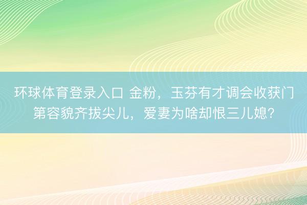 环球体育登录入口 金粉，玉芬有才调会收获门第容貌齐拔尖儿，爱妻为啥却恨三儿媳？