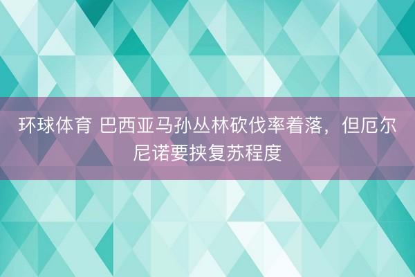 环球体育 巴西亚马孙丛林砍伐率着落，但厄尔尼诺要挟复苏程度